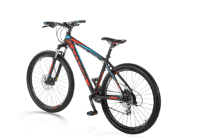 Bike Rental Split - Mountain bicycle