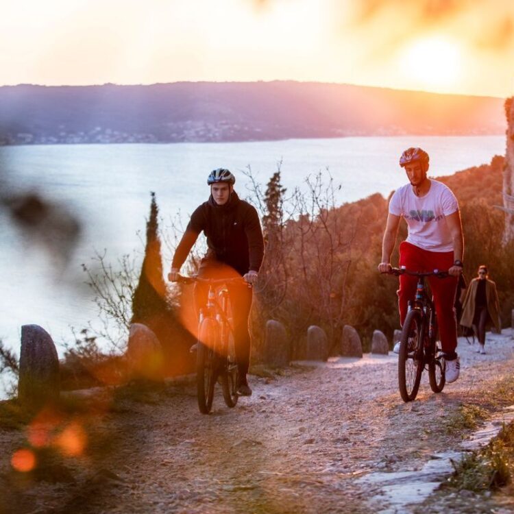 Bike Rental Split